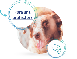 premio para una protectora