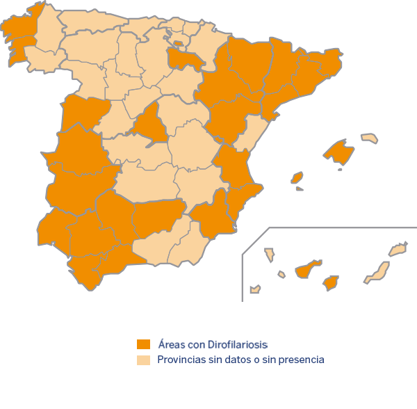 Mapa de distribución de Dirofilariosis